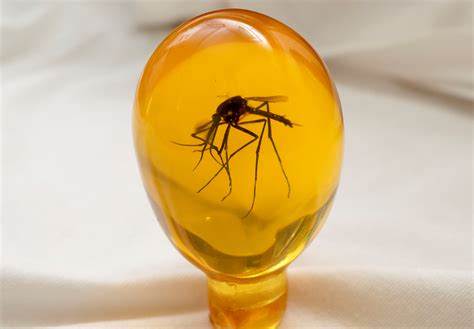 Mosquito egg from John Hammond's cane in Jurassic Park. | RPF Costume and Prop Maker Community