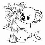 Premium Vector  Cute koala Coloring Pages For Kids And Toddlers sketch template