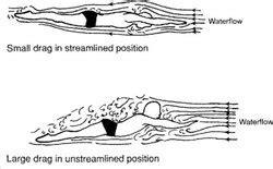 ANALYSIS OF SWIM technique - Biomechanics