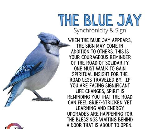 Blue jay symbolism spiritual meanings of seeing blue jays – Artofit