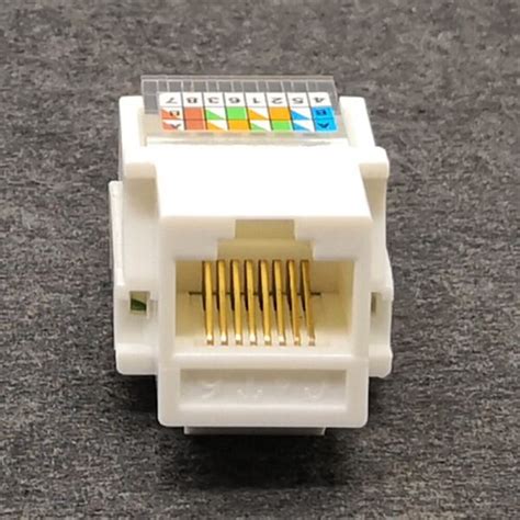 RJ45 Cat6 UTP Female Jack Connector Network Module for Wall Plate Free ...