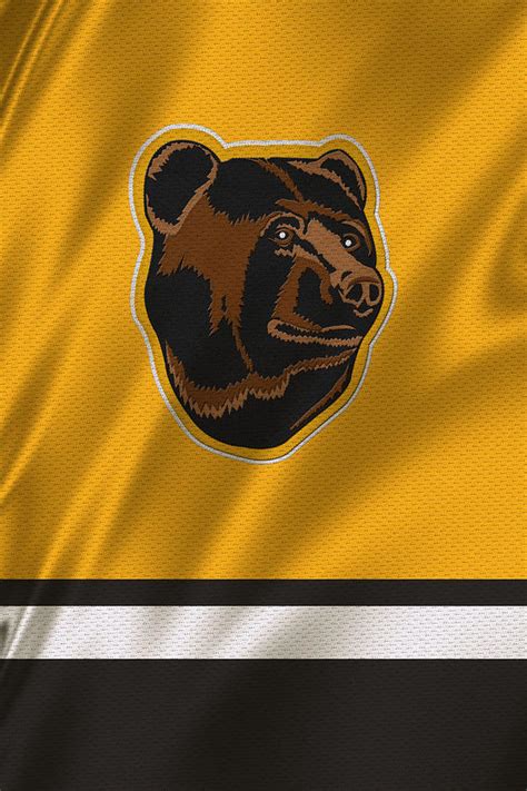 Boston Bruins Uniform Photograph by Joe Hamilton - Fine Art America