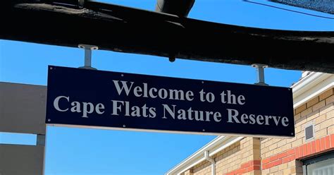 Ecological burn scheduled for Cape Flats Nature Reserve, residents ...