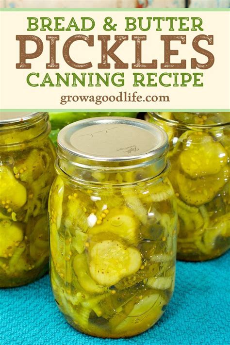 Bread and butter pickles canning recipe – Artofit