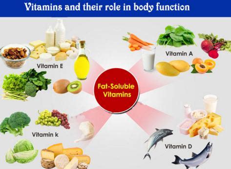 5 Best Types Of Vitamins And Their Functions In Human body