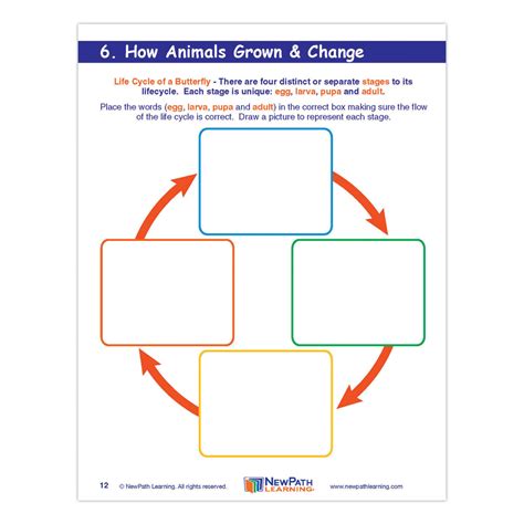 Grade 3 Science Graphic Organizer - Science Supplies, Resources & Books | EAI Education