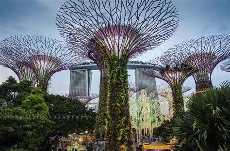 SINGAPORE/city in a garden | Gardens by the Bay/Singapore (G… | Flickr