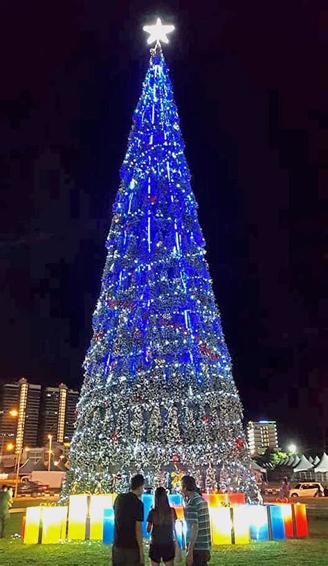 30m-tall Christmas tree wows the crowd | The Star