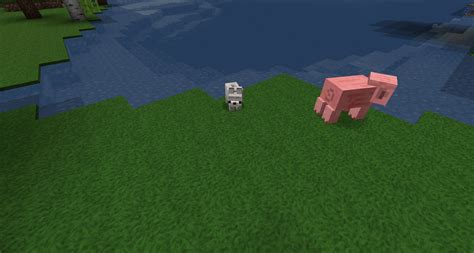 Baby Animals Model Swapper, Squickens Mod 1.14.4, 1.12.2 - Mc-Mod.Net