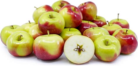 Lady Apples Information, Recipes and Facts
