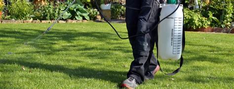 The 6 Best Mosquito Yard Sprays of 2024 - DIY Pest Control