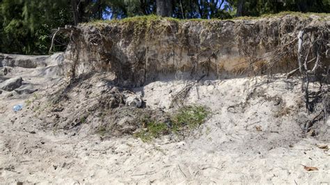 Climate Change Adaptation Programme in the Coastal Zone of Mauritius ...