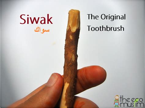 Only A Miswak Stops Tooth Decay | @TheEcoMuslim