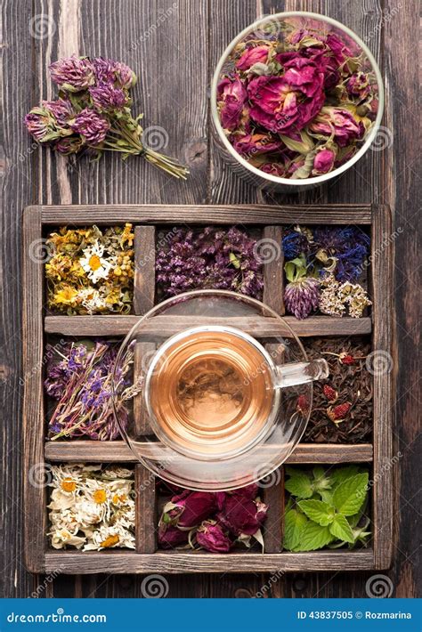 Dried Herbs And Flowers And Herbal Tea Stock Image - Image: 43837505