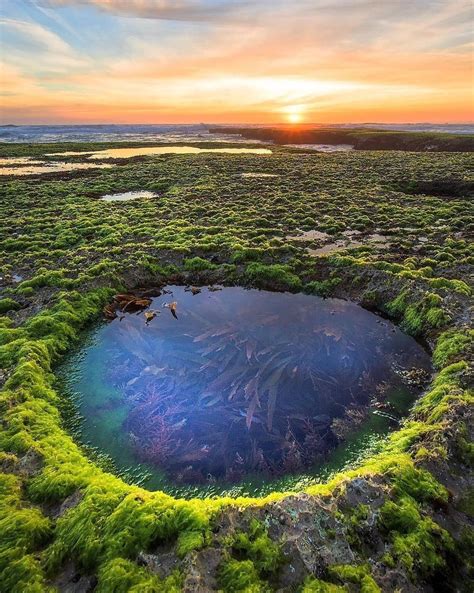 Rock Pools at Morrington Peninsula. : r/australia