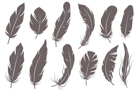 Premium Vector | Feather silhouettes. different feathering birds, graphic simple shapes pen ...