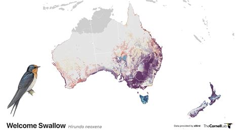 Updated abundance and range maps for 2,068 species - eBird