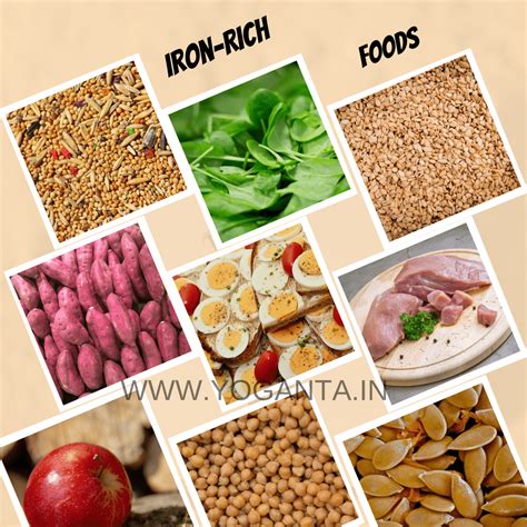 Top Iron-Rich Foods That Are Great Sources of Iron - Yoganta Blog