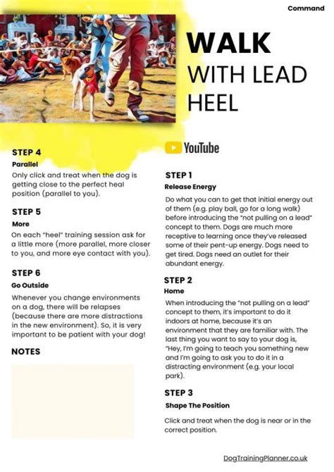 Teach Your Dog To Heel In 6 Steps: Basic Dog Training Command