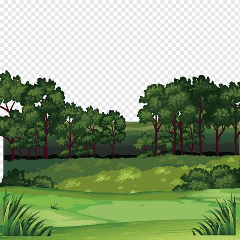 Forest, Jungle scenery, landscape, grass, illustrator png | PNGWing