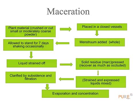 Maceration Plant Extraction Explained: Unlocking the Potential