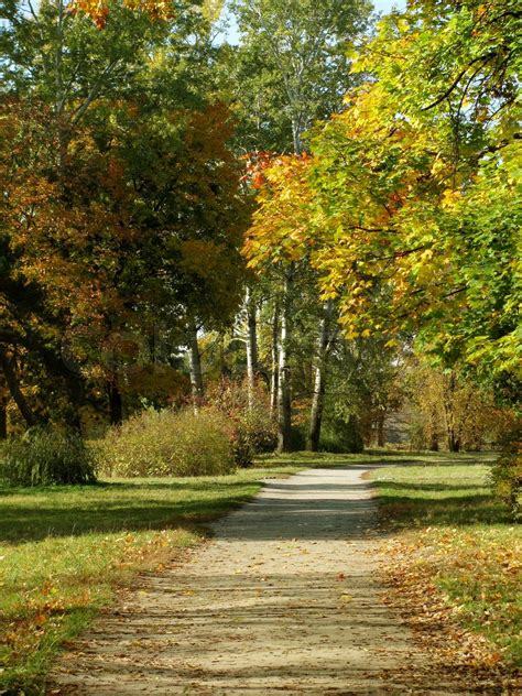 path in an autumnal park | Stock image | Colourbox