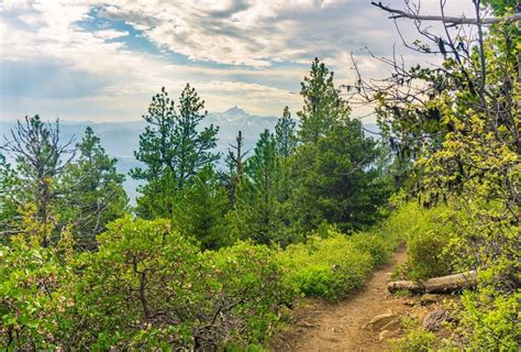 Hike Black Butte Near Bend, Oregon - It Started Outdoors | Black butte ...