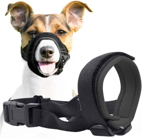 10 Best Dog Muzzles That Allow Drinking: 2020 | Dogs Travel Guide