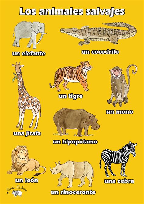 Wild Animals LOS ANIMALES SALVAJES Diagram | Quizlet