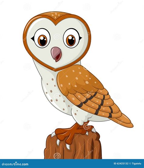 Cartoon Barn Owl Isolated On White Background Stock Vector - Image: 62425132