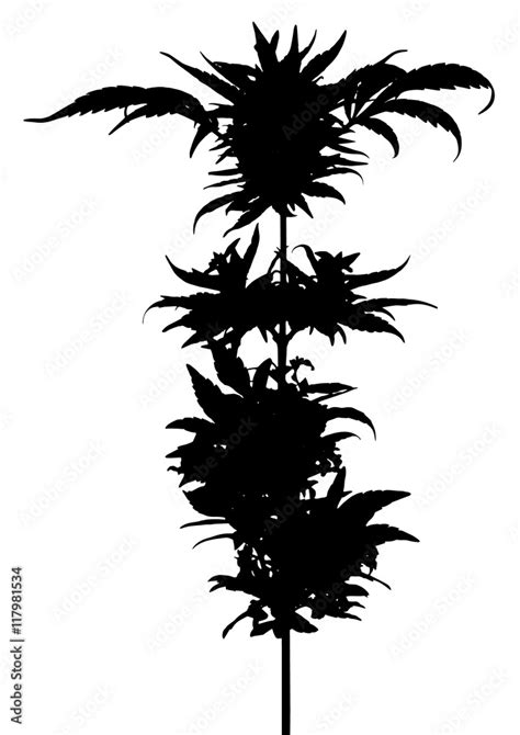 Weed Plant Silhouette