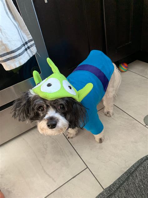 Alien dog costume Toy Story Alien dog outfit Halloween dog | Etsy