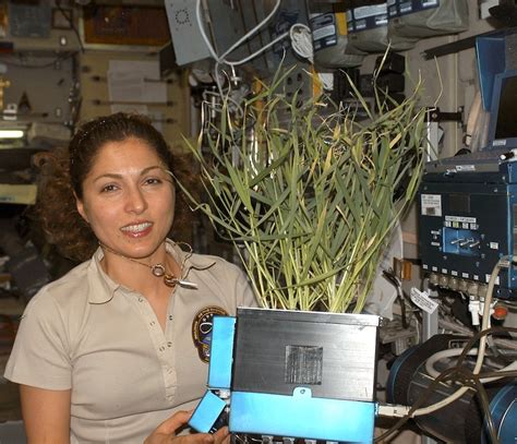 anousheh-ansari-in-the-iss.jpg | Ask An Earth and Space Scientist