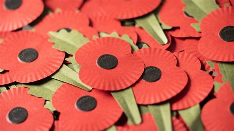 Bath firm's pride over eco-friendly Remembrance Day poppy - BBC News