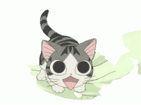 Chi Cat Sticker - Chi Cat Eyes - Discover & Share GIFs