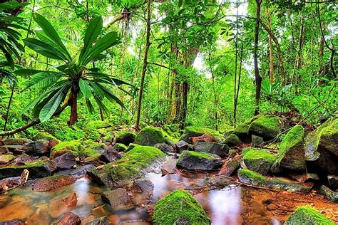 Madagascar's National Parks, Reserves, And Protected Areas - WorldAtlas