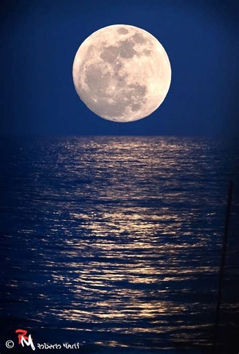 Moon Over Ocean Painting at PaintingValley.com | Explore collection of ...