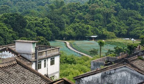 The Hongkongers giving our abandoned villages a new lease of life ...