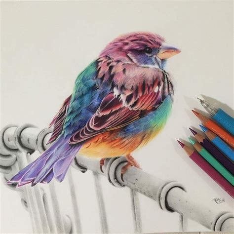 Pin on Art gallery | Bird drawings, Color pencil drawing, Color pencil art