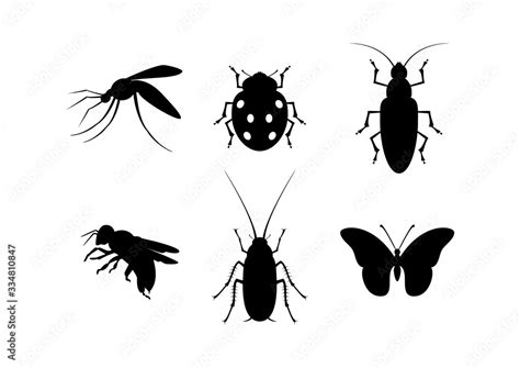 bugs black - Clip Art Library