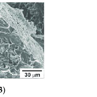 Macrographs of the fracture surface in the Charpy V-notch specimen... | Download Scientific Diagram