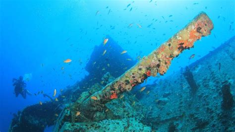 5 fascinating shipwrecks in the Red Sea | Sky HISTORY TV Channel