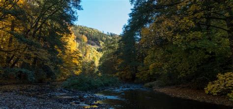 Postcard from the Thuringian Forest – Capturing the Seasons