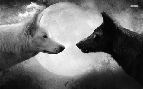 Black and White Wolf Wallpaper - WallpaperSafari