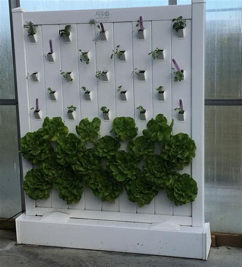 @r_joan88 on Instagram: “Loved this wall of the lettuce growing using aeroponics!!!!! #lettuce # ...