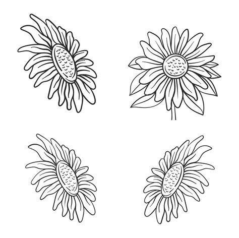 Sunflower SVG Black and White – MasterBundles