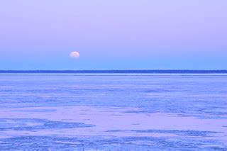 Blue moon + Lunar eclipse | Ellen Davis | Flickr