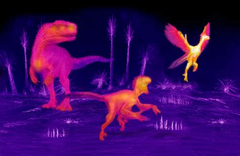 ‘Shrinking' dinosaurs allowed birds to evolve as warm-blooded creatures ...