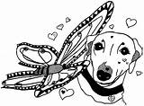 Whippet Clipart Greyhound Clip Outline Coloring Dog Greyhounds Line  sketch template
