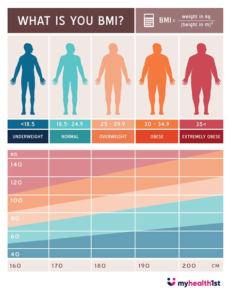 Understand Your BMI With A Visual Guide - ACCDIS English Hub